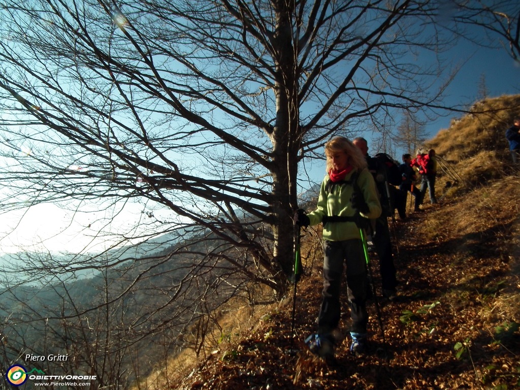 69 rientriamo nel bosco....JPG